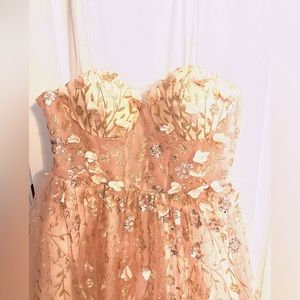Blush Homecoming Dress size XL special event formal wear!